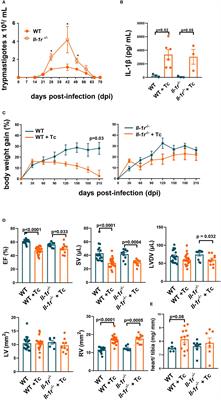 IL-1β is not critical to chronic heart dysfunction in mice with Chagas disease